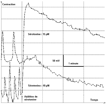 Cliquer sur l'image pour l'agrandir