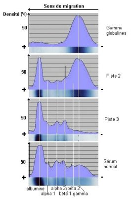 Cliquer sur l'image pour l'agrandir