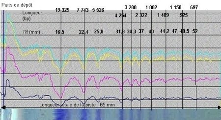Cliquer sur l'image pour l'agrandir