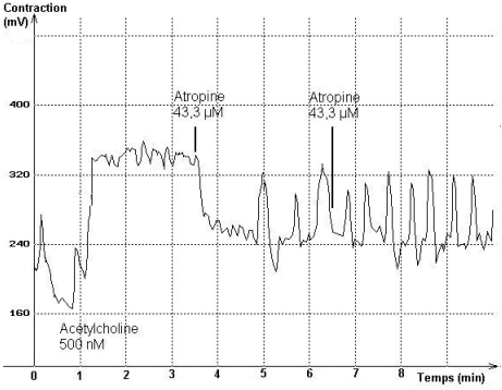 CLIQUER SUR L'IMAGE POUR L'AGRANDIR
