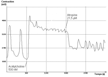 CLIQUER SUR L'IMAGE POUR L'AGRANDIR
