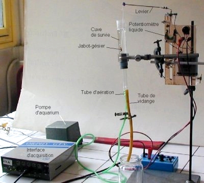 Cliquer sur l'image pour l'agrandir