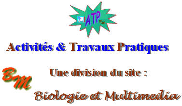 RETOUR A LA PAGE D'ACCUEIL
