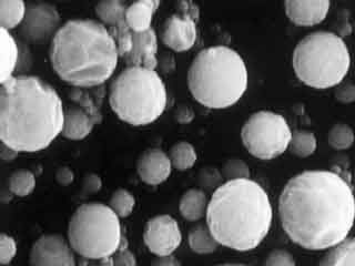 S&eacute;paration de plastoglobules.