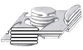 Section du sch&eacute;ma 3D.