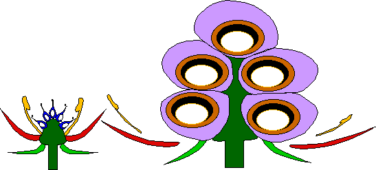 De la fleur à la mûre, schéma explicatif