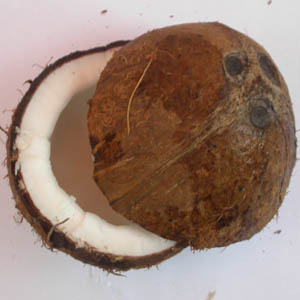 noix de coco coupée transversalement