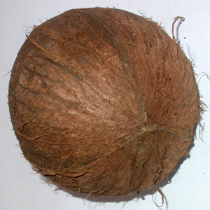 noix de cocovue de profil