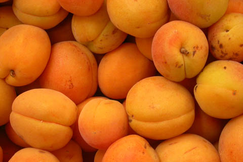abricots