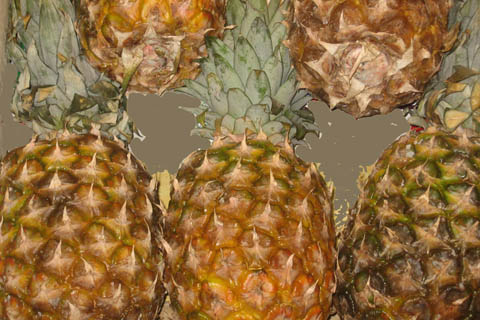 ananas