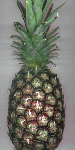 ananas entier
