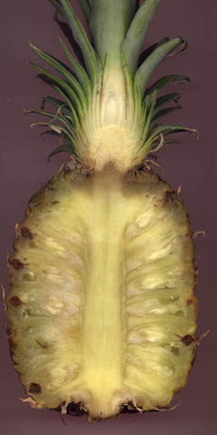 ananas coupé