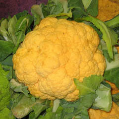 chou-fleur jaune