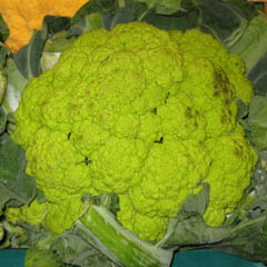 chou-fleur vert