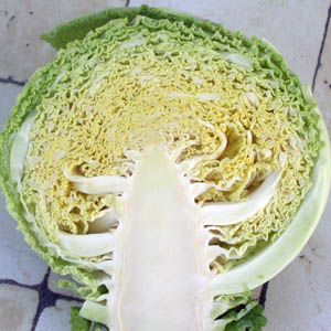Chou fris en coupe longitudinale