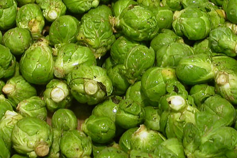 Choux de Bruxelles � l'�talage 