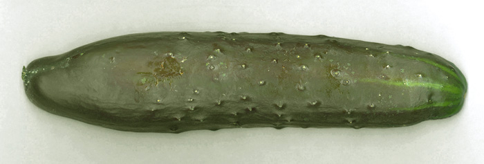 Varit vert fonc de concombre