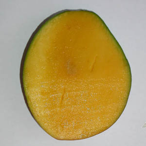pr�sentation d'une mangue, �tape 1:coupe longitudinale