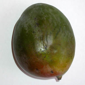 mangue enti�re vue de profil