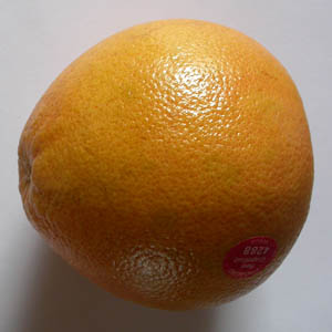 Pomelo entier de profil 