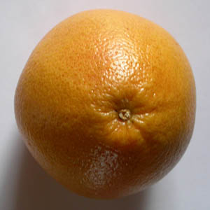 Pomelo vu de face 