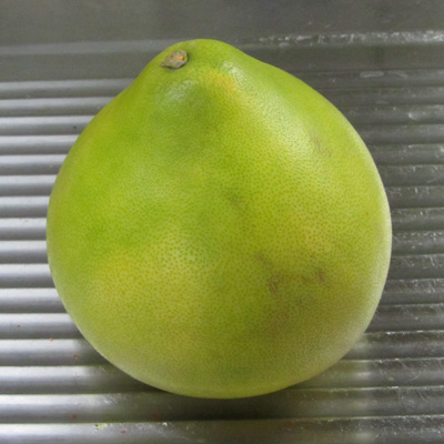 Pamplemousse ou Pomelo Chinois entier en forme de poire 