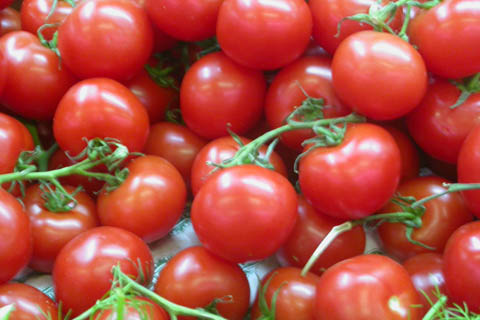 tomates