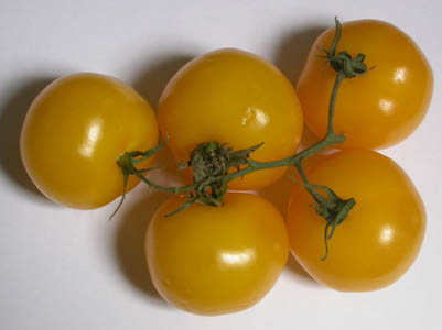 tomates jaunes