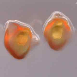 ppins de tomate