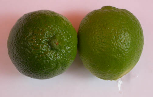 citrons verts (limes) de face et de profil