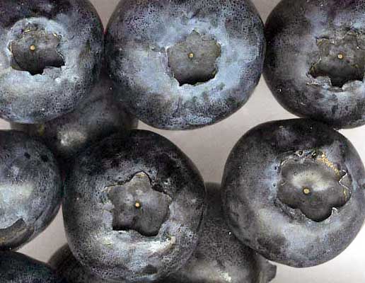 fruits de myrtille vus de dessus