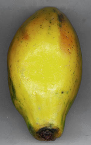 Papaye