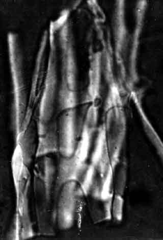moulage de l'espace gazeux