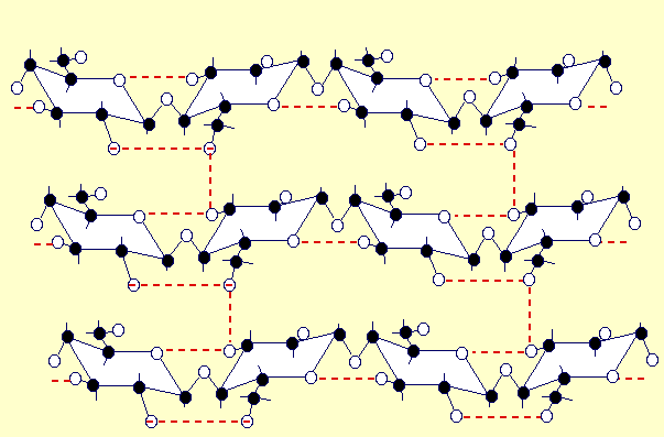 mol&eacute;cules de cellulose