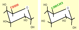 Acide galacturonique et galacturonique méthylé
