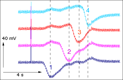 transmission lin&eacute;aire du signal